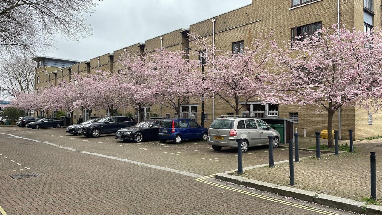 Plough Way Flat Appartamento Londra Esterno foto